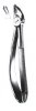 Forceps 1